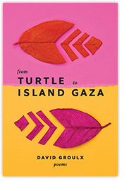 From Turtle Island to Gaza