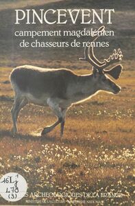 Pincevent : Campement magdalénien de chasseurs de Rennes