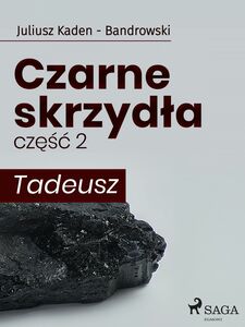 Czarne skrzydła 2 - Tadeusz