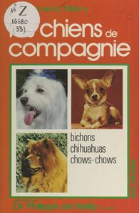 Les chiens de compagnie Chow-chow, chihuahua, bichons