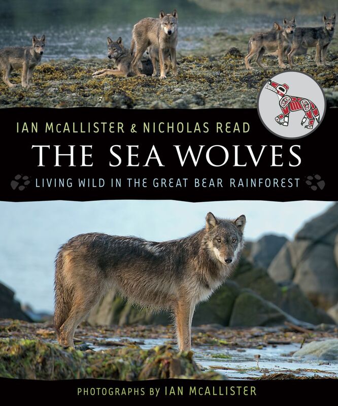 The Sea Wolves Living Wild in the Great Bear Rainforest