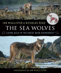 The Sea Wolves Living Wild in the Great Bear Rainforest