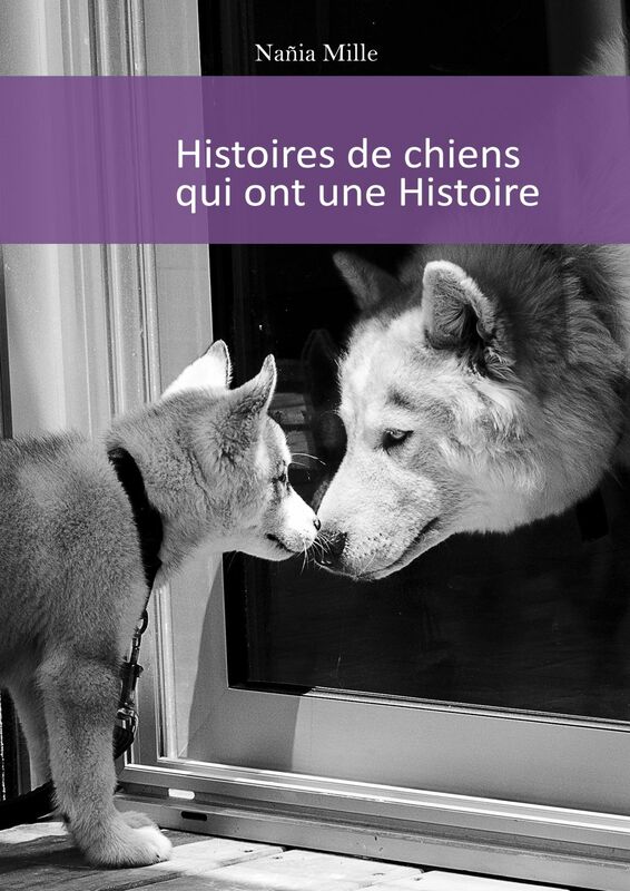Histoires de chiens qui ont une Histoire