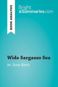 Wide Sargasso Sea by Jean Rhys (Book Analysis) Detailed Summary, Analysis and Reading Guide