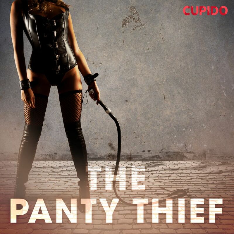 The Panty Thief