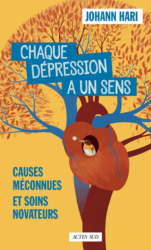 Chaque dépression a un sens Causes méconnues et soins novateurs