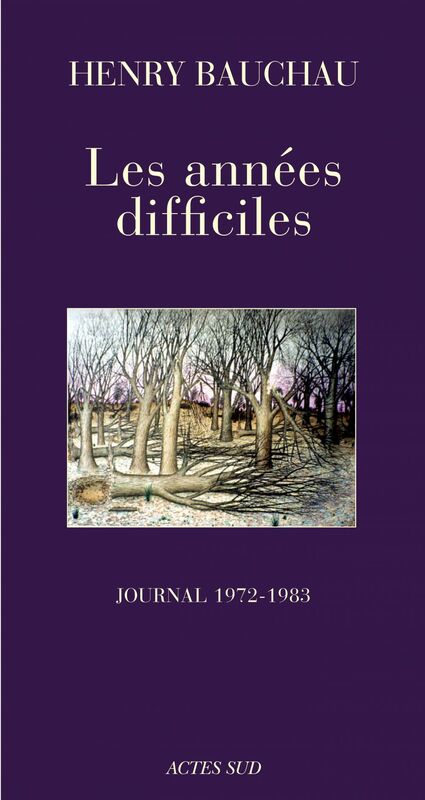 Les années difficiles Journal (1972 - 1983)