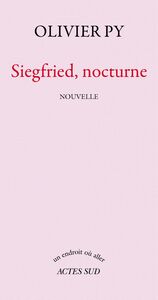 Siegfried, nocturne