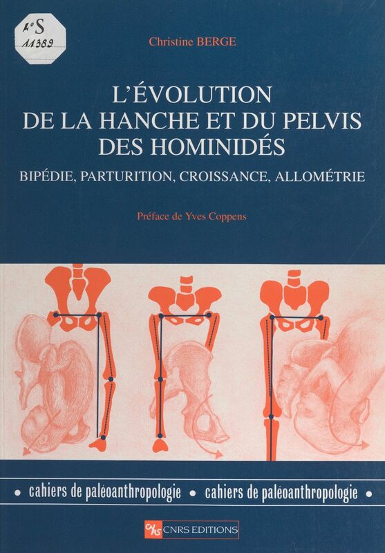 L'évolution de la hanche et du pelvis des hominidés Bipédie, parturition, croissance, allométrie