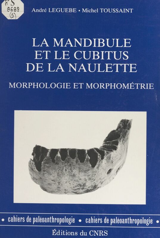 La mandibule et le cubitus de La Naulette : morphologie et morphométrie
