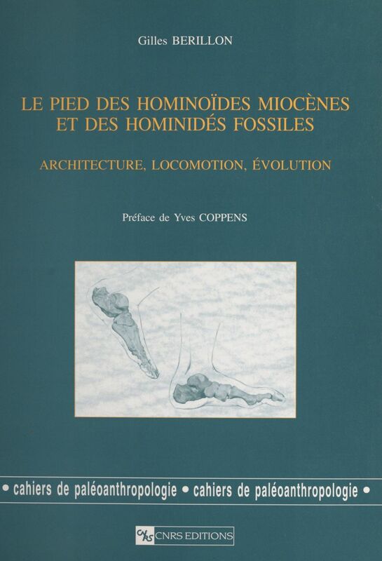 Le pied des hominoïdes miocènes et des hominidés fossiles : architecture, locomotion, évolution