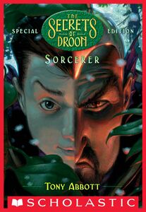 Sorcerer (The Secrets of Droon: Special Edition #4)