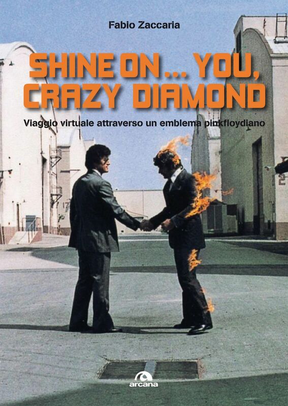 Shine on…you, crazy diamond Viaggio virtuale attraverso un emblema pinkfloydiano
