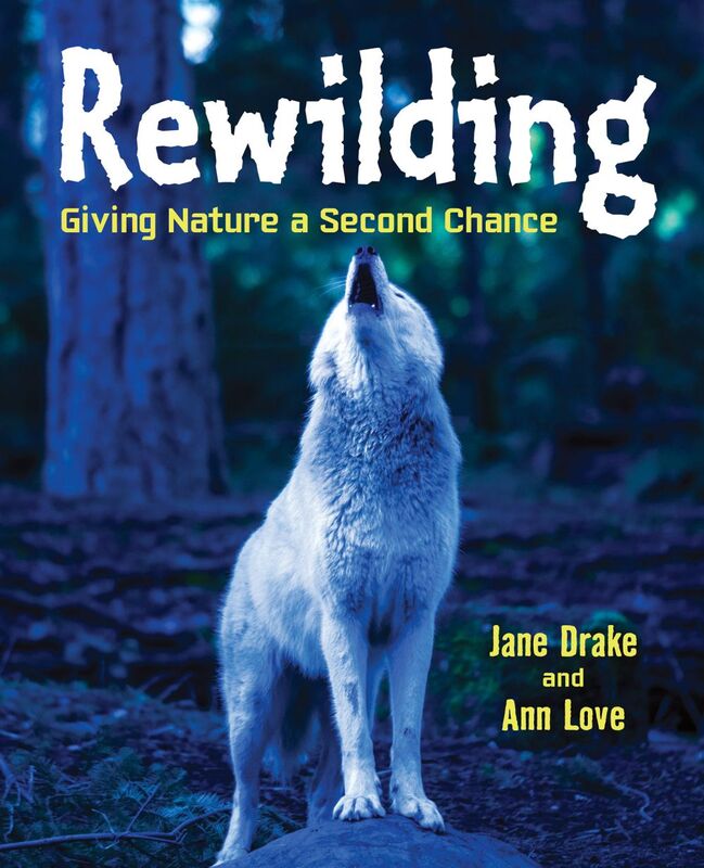 Rewilding Giving Nature a Second Chance