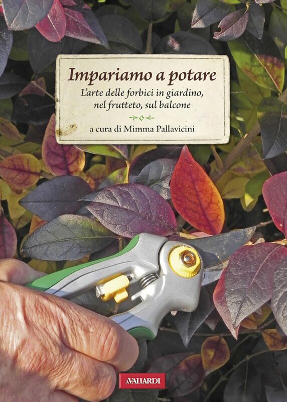 Impariamo a potare L'arte delle forbici in giardino, nel frutteto, sul balcone