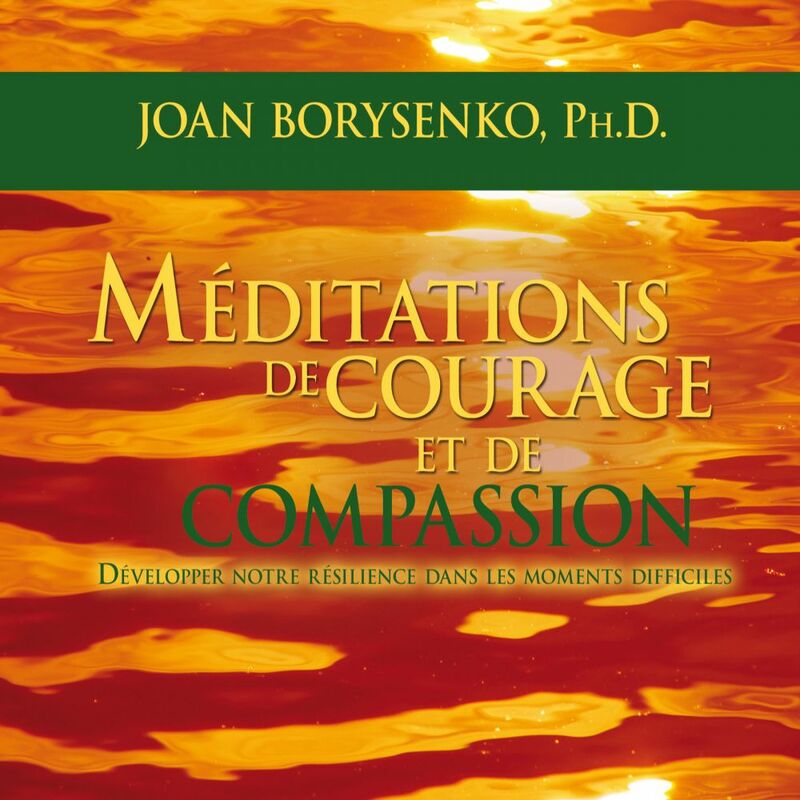 Méditations de courage et de compassion : Développer notre résilience dans les moments difficiles Méditations de courage et de compassion