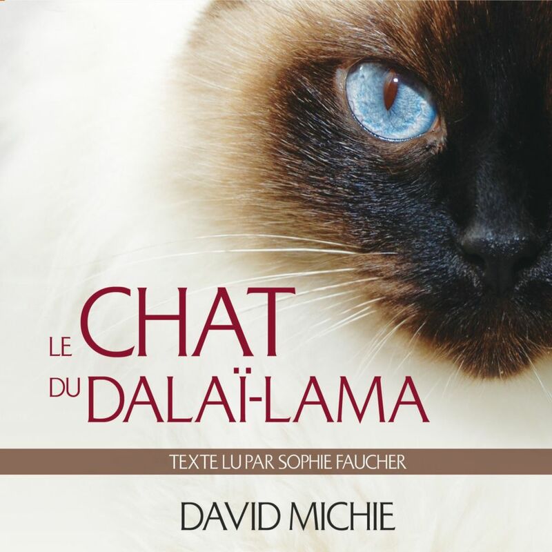 Le chat du Dalaï-lama : Le grand livre de l'esprit maître Le chat du Dalaï-lama