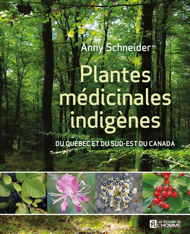 Plantes médicinales indigènes PLANTES MEDICINALES INDIGENES [PDF]