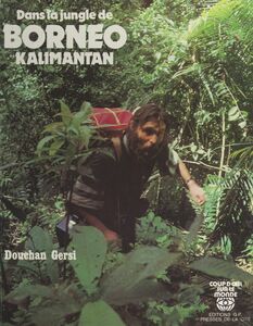 Dans la jungle de Bornéo (Kalimantan)
