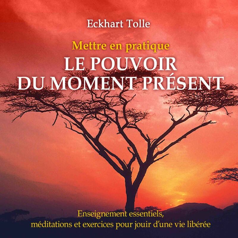 Mettre en pratique le pouvoir du moment présent : Enseignement essentiels, méditations et exercices pour jouir d'une vie libérée Mettre en pratique le pouvoir du moment présent