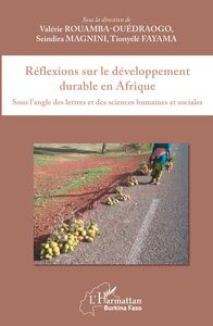 Réflexions sur le développement durable en Afrique Sous l'angle des lettres et des sciences humaines et sociales