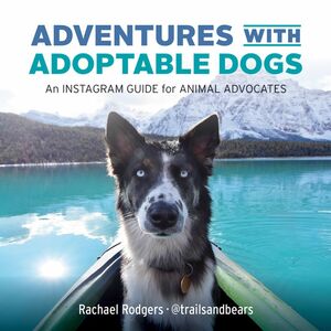 Adventures with Adoptable Dogs An Instagram Guide for Animal Advocates