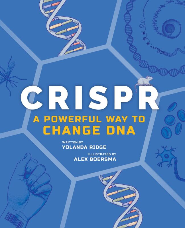 CRISPR A Powerful Way to Change DNA