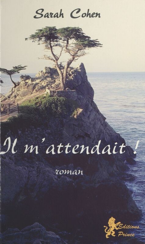 Il m'attendait ! Roman