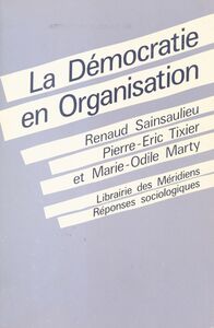 La Démocratie en organisation : vers des fonctionnements collectifs de travail