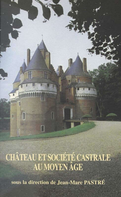 Château et société castrale au Moyen Âge Actes du Colloque des 7-8-9 mars 1997