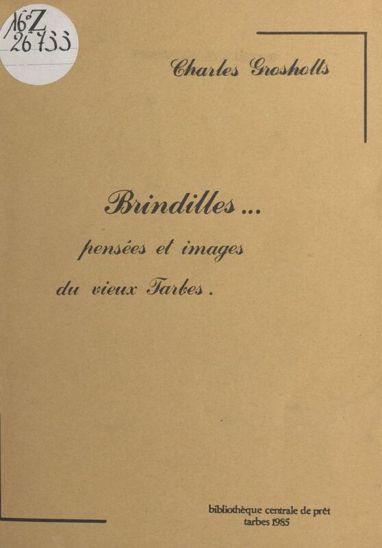 Brindilles : pensées et images du vieux Tarbes