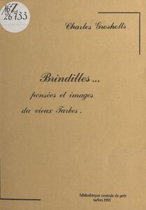 Brindilles : pensées et images du vieux Tarbes