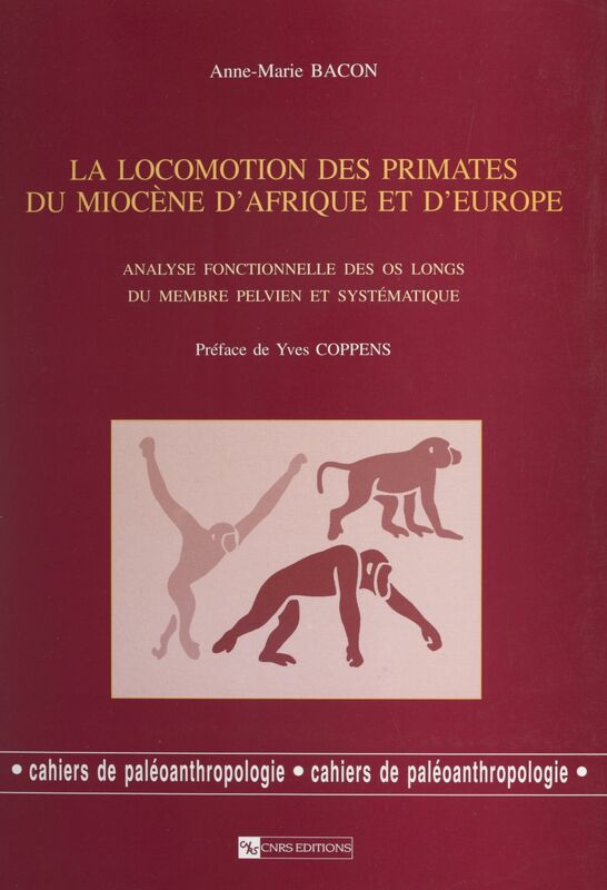 La locomotion des primates du Miocène d'Afrique et d'Europe Analyse fonctionnelle des os longs du membre pelvien et systématique