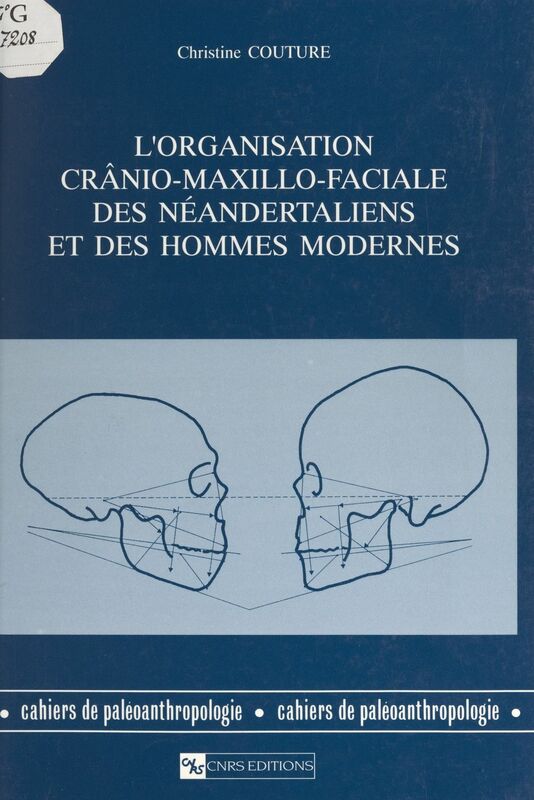 L'organisation crânio-maxillo-faciale des Néandertaliens et des hommes modernes