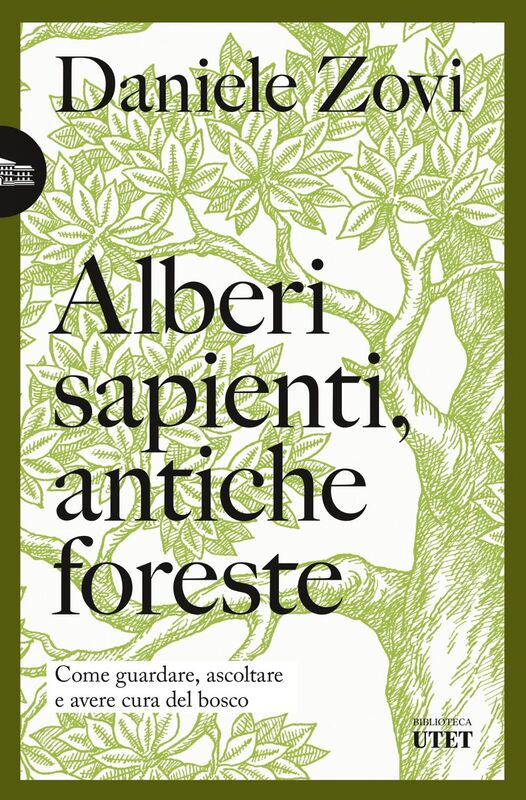 Alberi sapienti, antiche foreste Come guardare, ascoltare e avere cura del bosco