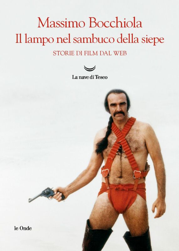 Il lampo nel sambuco della siepe