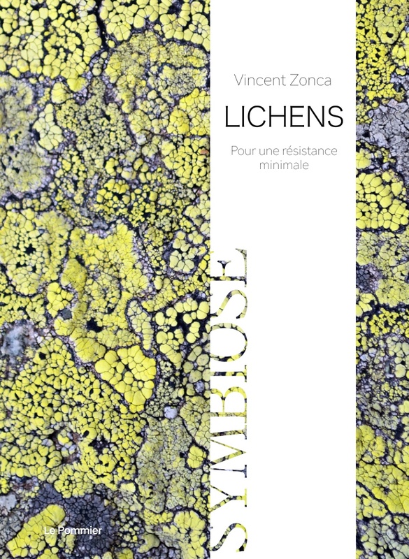 Lichens Pour une résistance minimale