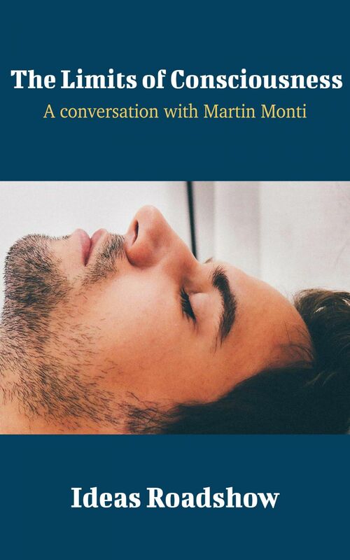 The Limits of Consciousness - A Conversation with Martin Monti