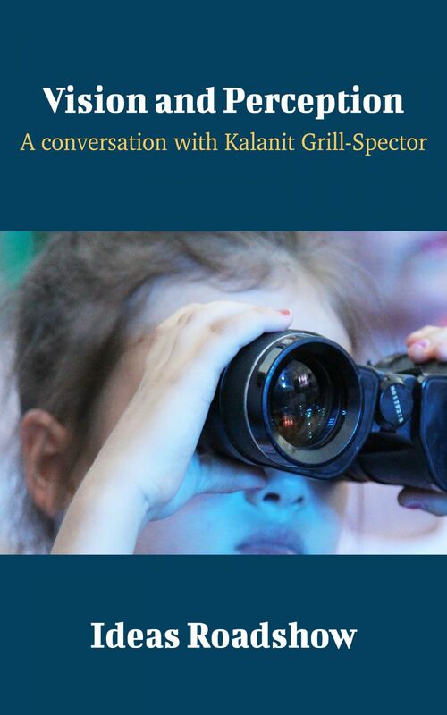 Vision and Perception - A Conversation with Kalanit Grill-Spector