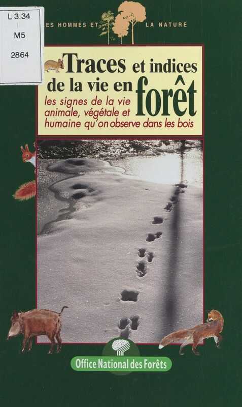 Traces et indices de la vie en forêt Les signes de la vie animale, végétale et humaine qu'on observe dans les bois