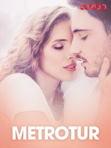 Metrotur – erotiske noveller