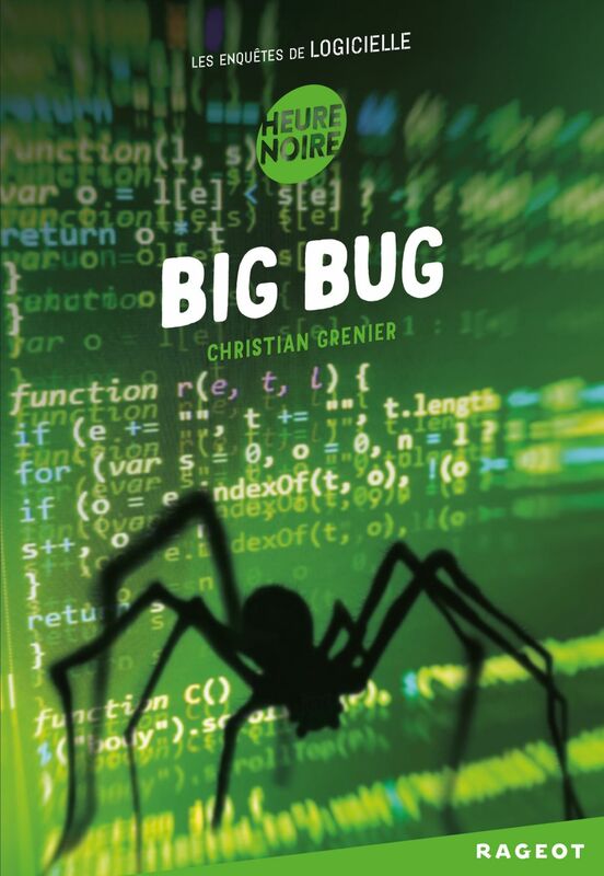 Big bug Les enquêtes de Logicielle