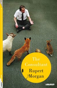 The Consultant - Ebook Collection Paper Planes