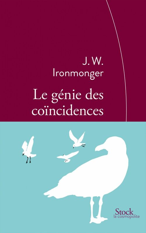 Le génie des coïncidences Traduit de l’anglais par Christine Barbaste