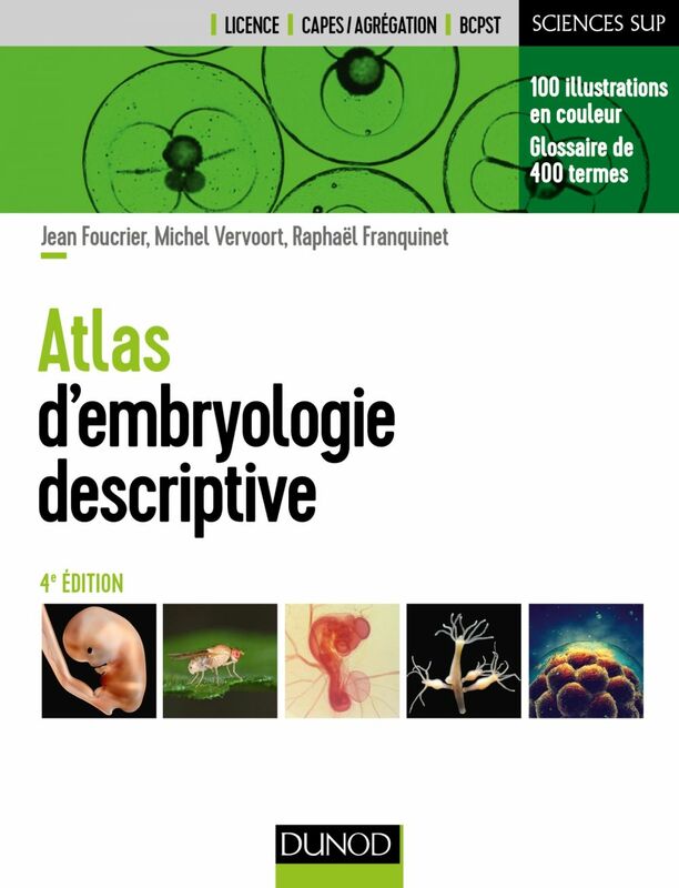Atlas d'embryologie descriptive - 4e éd.