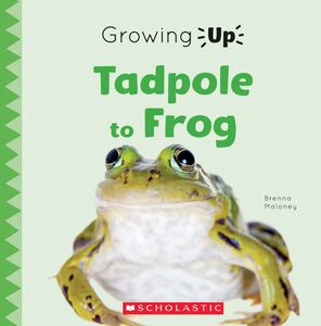 Tadpole to Frog (Growing Up)