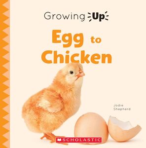 Egg to Chicken (Growing Up)