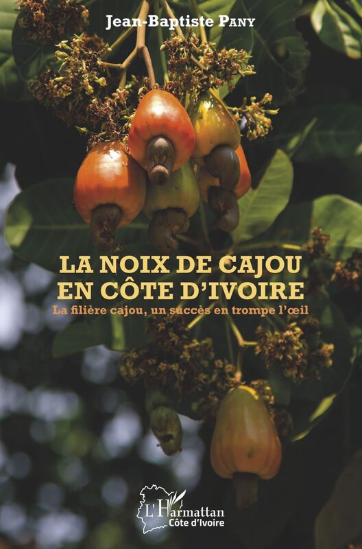 La noix de cajou en Côte d'Ivoire La filière cajou, un succès en trompe l'oeil