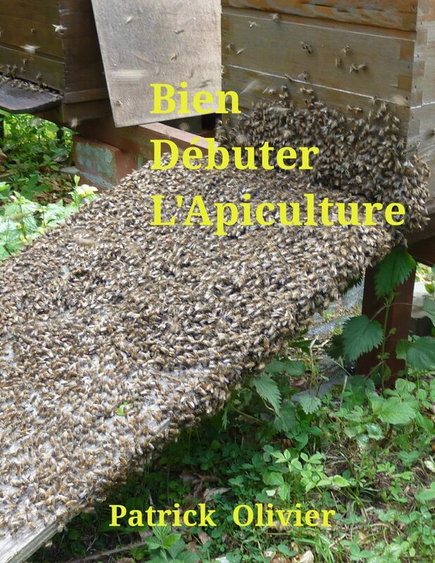Bien débuter l'apiculture