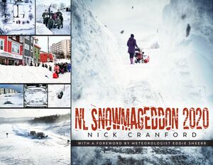 NL Snowmageddon 2020